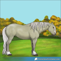 Horse Color:Watercolor Silver Grullo 