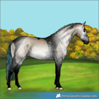 Horse Color:Gray Void Painted Bay Onyx Sabino Splash Tobiano 