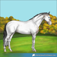 Horse Color:Brown Ice Onyx Sabino Splash Tobiano Appaloosa 