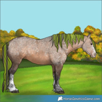 Horse Color:Painted Bay Dun Sabino