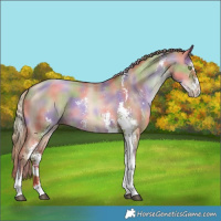 Horse Color:Nacre Liver Red Dun Pearl Sabino