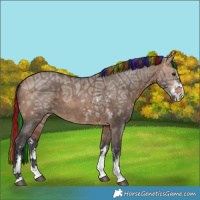Horse Color:Painted Brown Ice Dun Sabino 