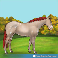 Horse Color:Painted White Spotted Liver Red Dun Pearl Sabino 