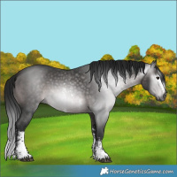 Horse Color:Gray Platinum Bay Sabino