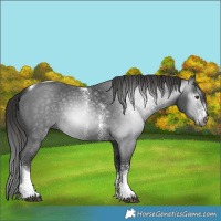 Horse Color:Gray Platinum Liver Chestnut Sabino Tobiano 