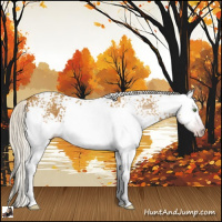 Horse Color:Gray White Spotted Silver Classic Cream Champagne