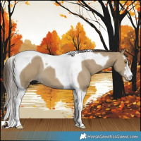 Horse Color:Classic Cream Champagne Tobiano