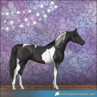 Horse Color:Brown Tobiano 