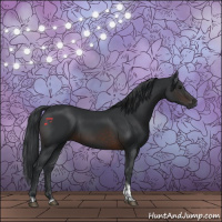 Horse Color:Brown Tobiano