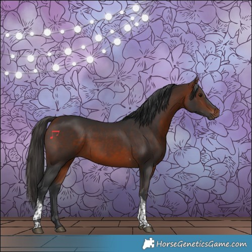 Horse Color:Bay Tobiano 