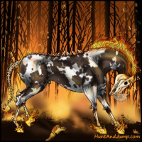 Horse Color:White Spotted Liver Chestnut Sabino 