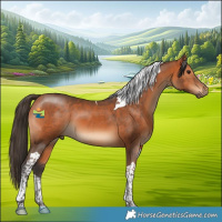 Horse Color:Bay Tobiano 
