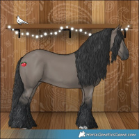 Horse Color:Grullo 