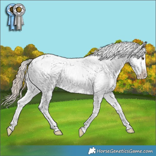 Horse Color:White Spotted Chocolate Palomino Appaloosa 