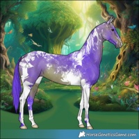 Horse Color:Watercolor Bay Tobiano 