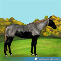 Horse Color:Void Buckskin Roan Pearl Dun Splash 