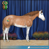 Horse Color:Chestnut Splash Rabicano 