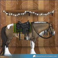 Horse Color:Buckskin Dun Tobiano Brindle 