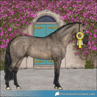 Horse Color:Brown Dun Brindle 