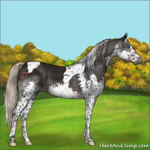 Horse Color:Gray Silver Brown Sabino Splash Tobiano 