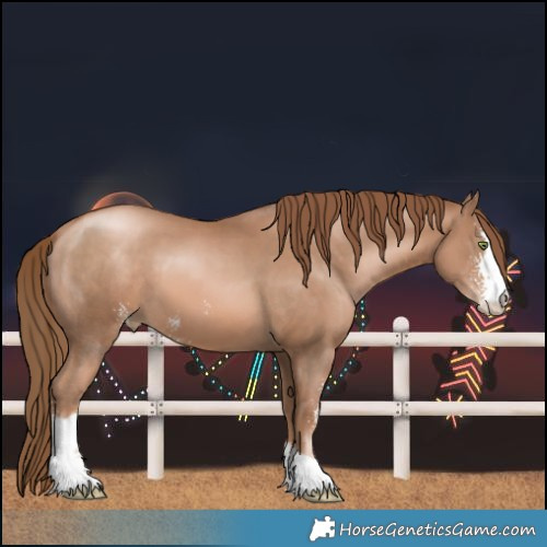 Horse Color:Liver Chestnut Pearl Sabino 