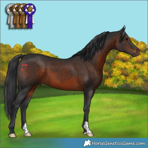 Horse Color:Brown 