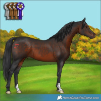 Horse Color:Brown 