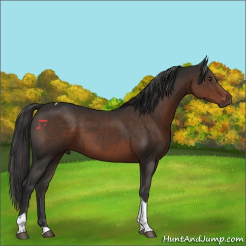 Horse Color:Liver Chestnut Tobiano 