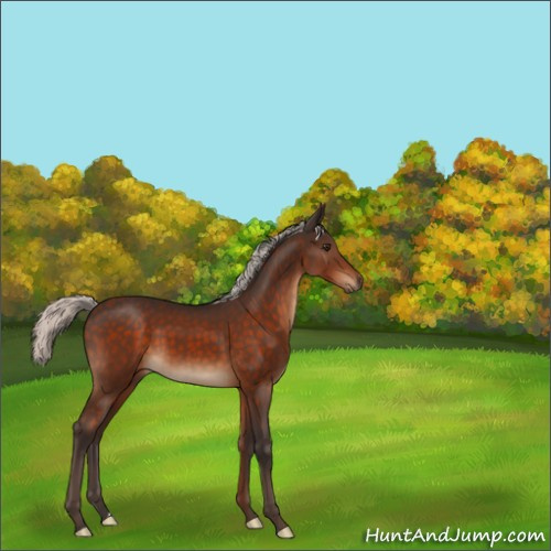 Horse Color:Silver Brown 
