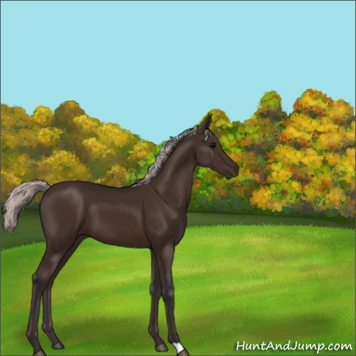Horse Color:Silver Brown 