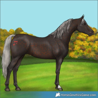 Horse Color:Silver Brown 