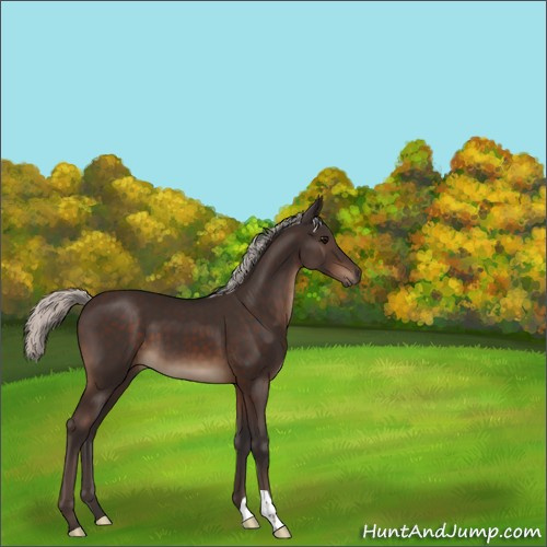 Horse Color:Silver Brown 