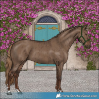 Horse Color:Liver Red Dun Brindle 