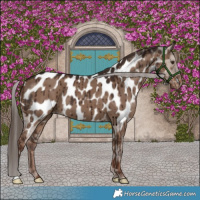 Horse Color:Liver Red Dun Near Leopard Brindle 