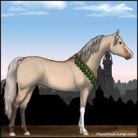 Horse Color:Silver Bay Dun 