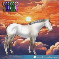 Horse Color:Gray Grullo Pearl Splash Tobiano Appaloosa Rabicano