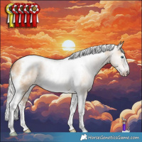 Horse Color:Gray White Spotted Silver Amber Champagne Pearl Dun Splash Tobiano Frame Rabicano 
