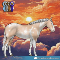 Horse Color:White Spotted Silver Bay Pearl Dun Splash Tobiano Rabicano