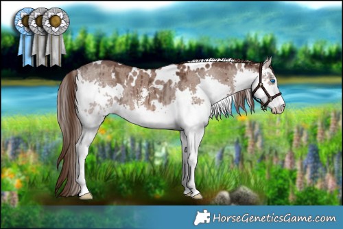 Horse Color:White Spotted Liver Red Dun Ice Sabino Splash Brindle