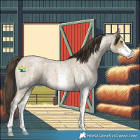 Horse Color:White Spotted Classic Cream Champagne Roan