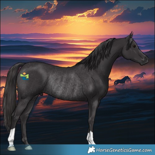 Horse Color:Smoky Black Rabicano 