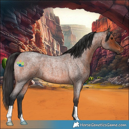 Horse Color:Brown Roan 