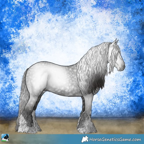 Horse Color:Gray White Spotted Liver Chestnut