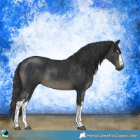 Horse Color:White Spotted Black Mushroom 