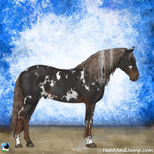 Horse Color:White Spotted Liver Chestnut Rabicano 