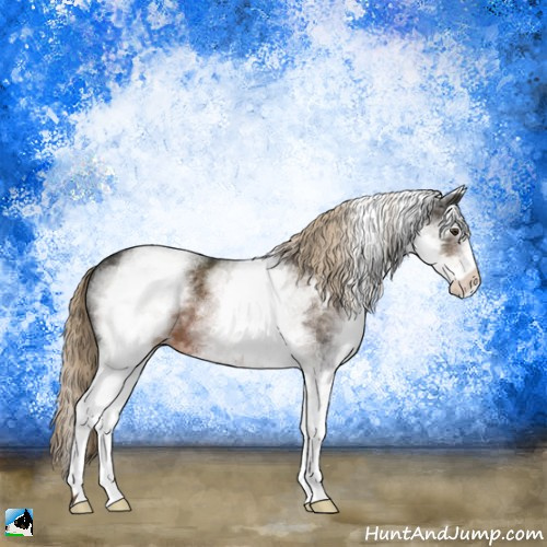 Horse Color:White Spotted Liver Chestnut 
