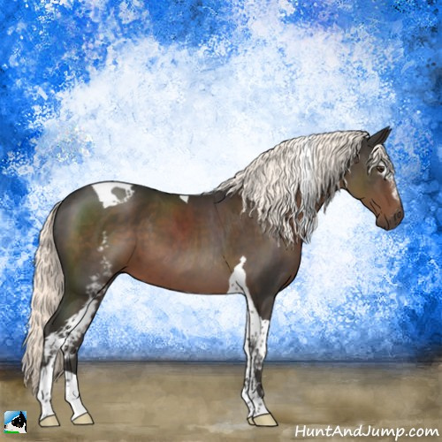 Horse Color:White Spotted Liver Chestnut Mushroom Tobiano 