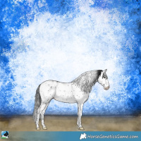 Horse Color:Black Sabino