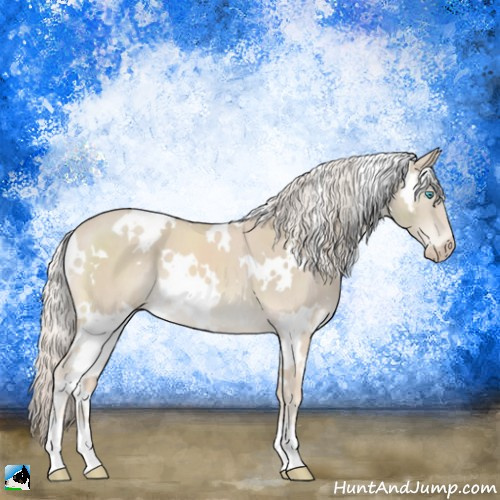 Horse Color:White Spotted Cremello Mushroom 