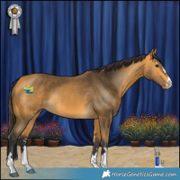 Horse Color:Buckskin 